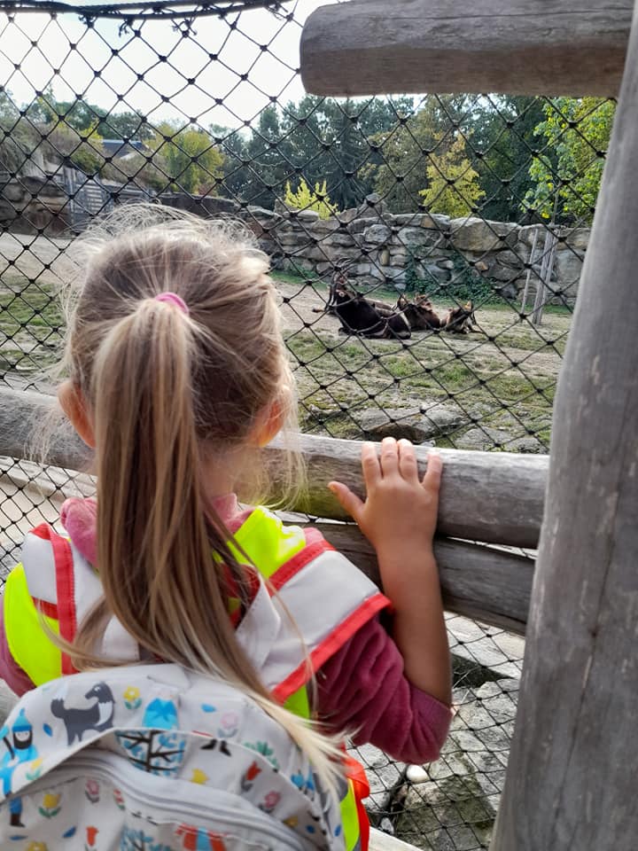 Včelky v ZOO Praha