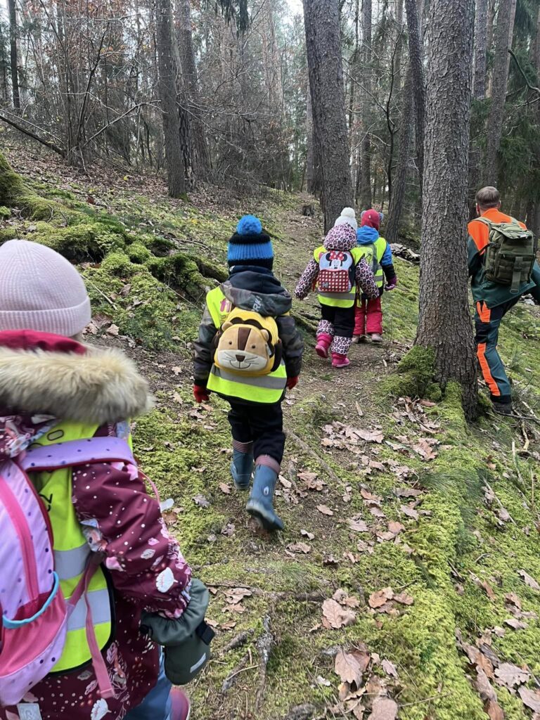 Lesní pedagogika